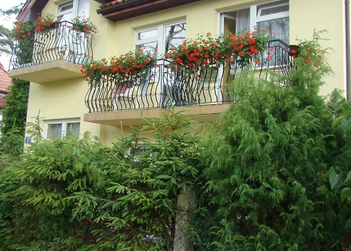 Abba Wynajem Pokoi ホームステイ ミエルノ